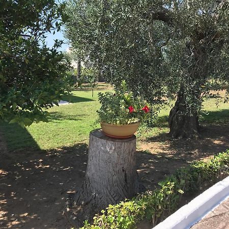 Villa Il Carrubo - Basilicata Pisticci Exteriér fotografie