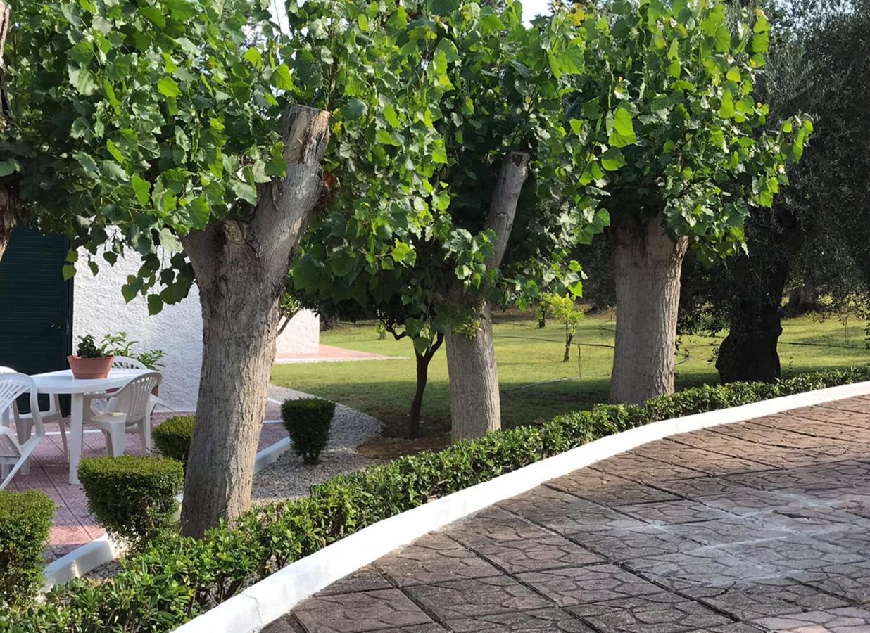 Villa Il Carrubo - Basilicata Pisticci Exteriér fotografie