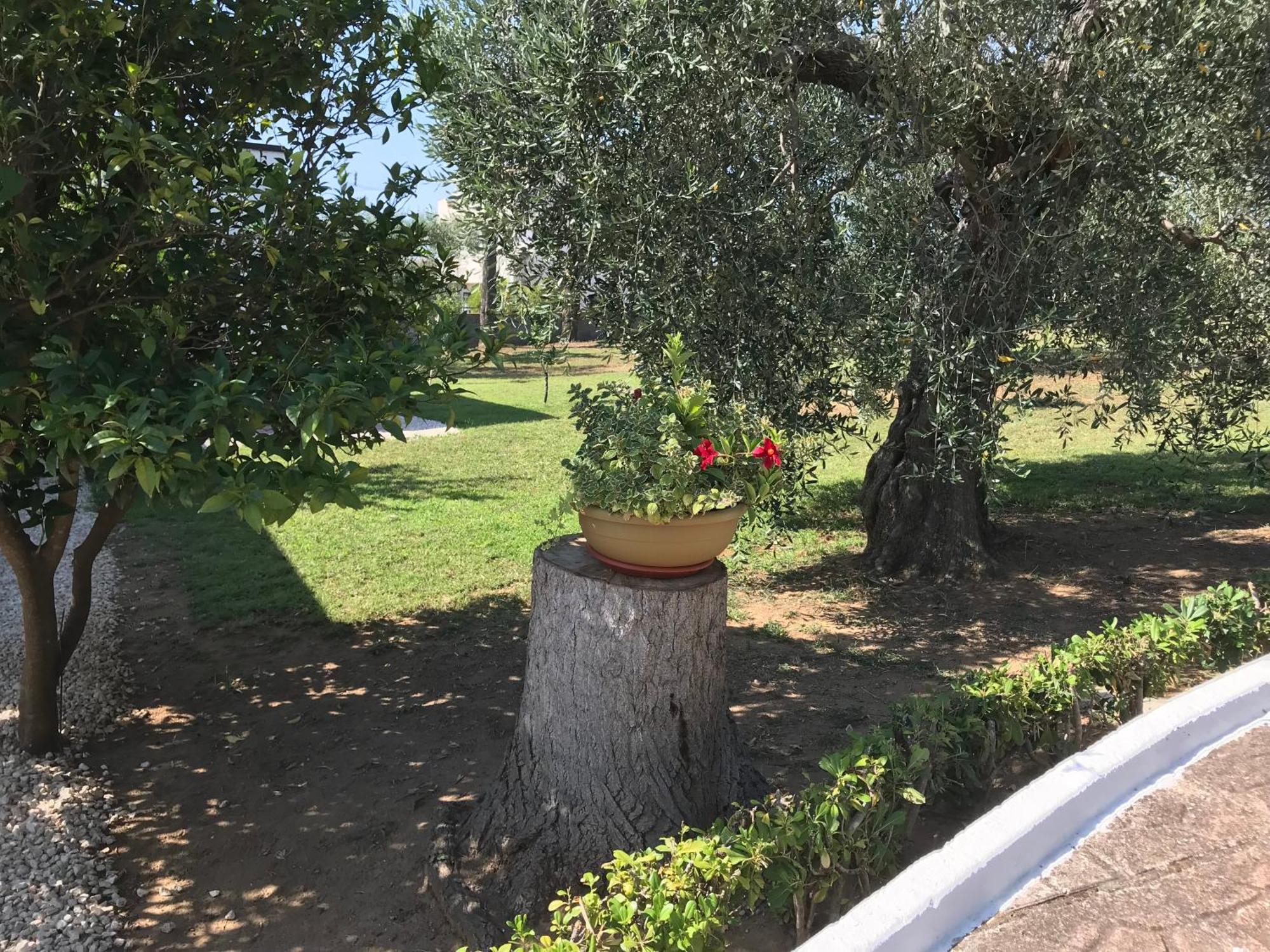 Villa Il Carrubo - Basilicata Pisticci Exteriér fotografie