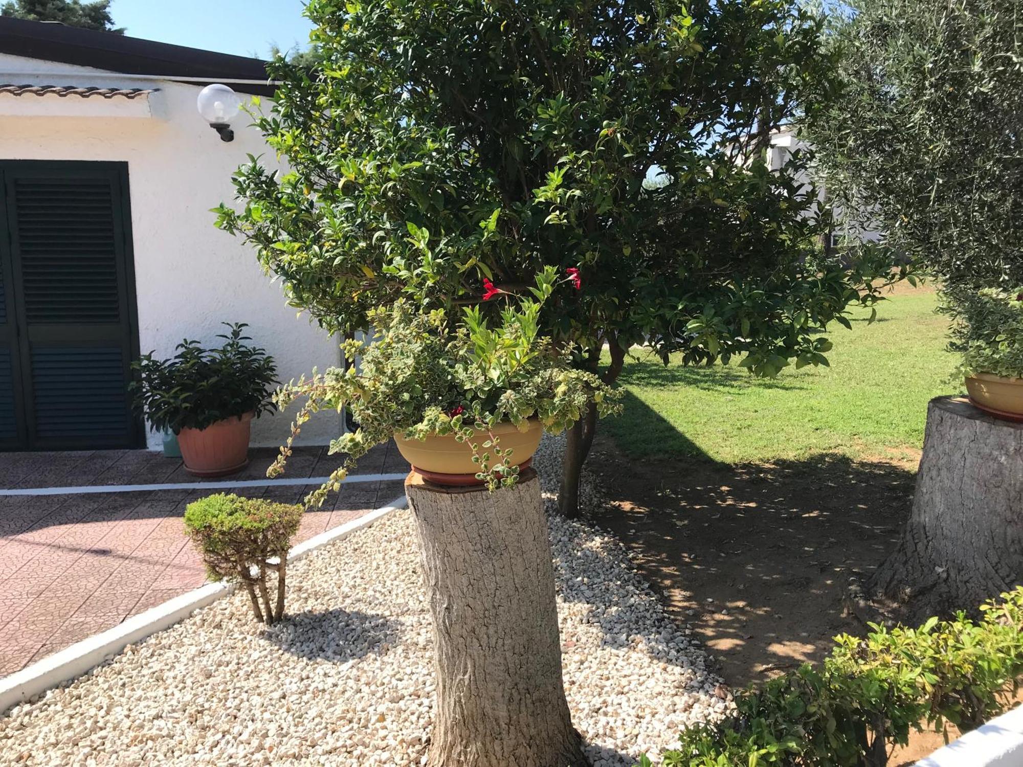 Villa Il Carrubo - Basilicata Pisticci Exteriér fotografie